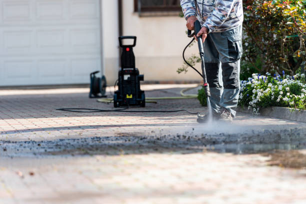 Best Roof Power Washing Services  in Pittsville, MD