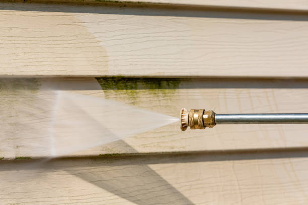 Best Pressure Washing Driveway  in Pittsville, MD
