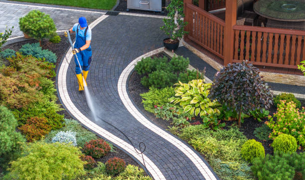 Best Deck Cleaning Services  in Pittsville, MD